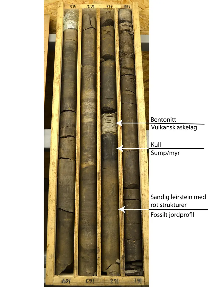 Drillcores_850px Drill cores from Adventdalen in Svalbard
