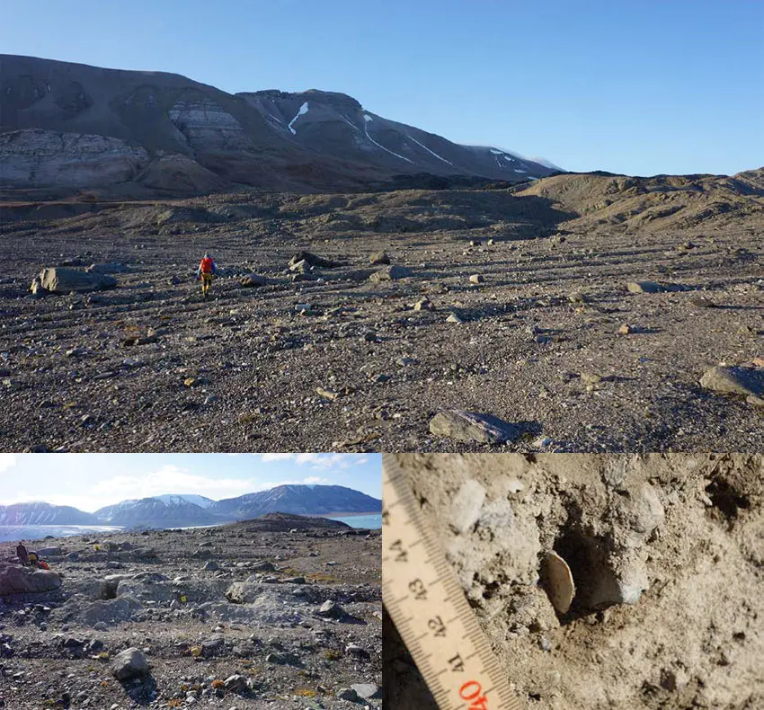 Evidence-material-4 Collage: Photo documentation of the landscape (top), the oblong stripes in the landscape are seen clearly. Bottom left: Digging a cross section in the low ridges. Bottom right: Shell fragment found in one cross section.