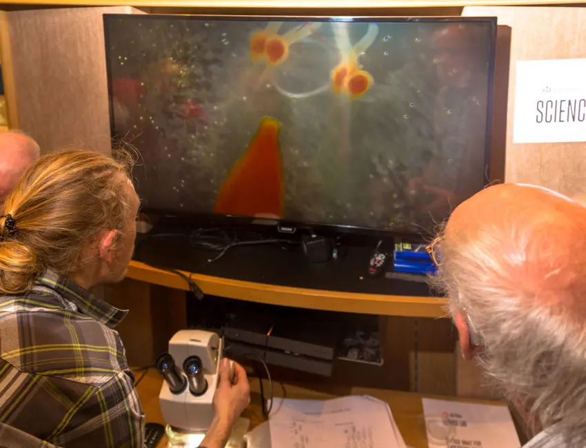 Tourists aboard Hurtigruten gets an introduction to marine labwork