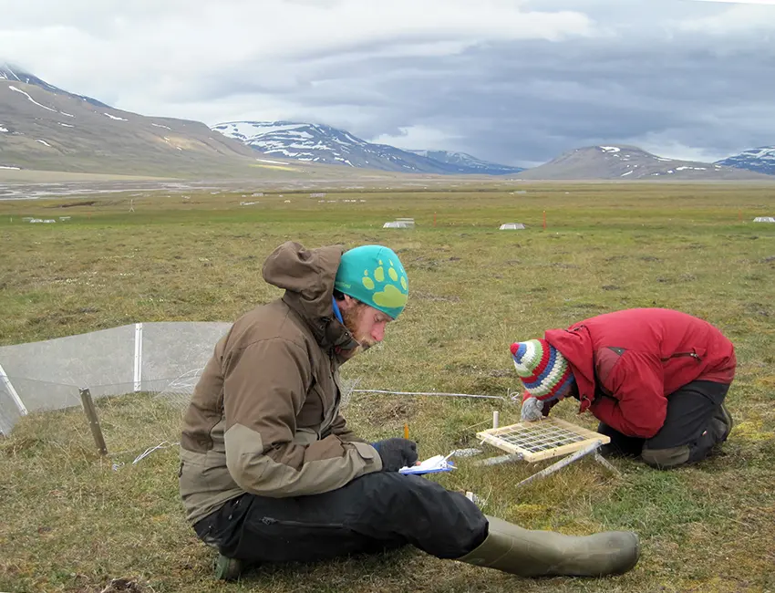 MatteoPetitBon_fieldwork_ETJenssen Matteo Petit Bon (right) is using point intercept method to assess the biomass in an undisturbing way, by counting and identifying plants within each square, which is then used to calculate how much biomass there is in each plot. Field assistant Cal Bachell keeps track of the findings. Photo: Eva Therese Jenssen/UNIS