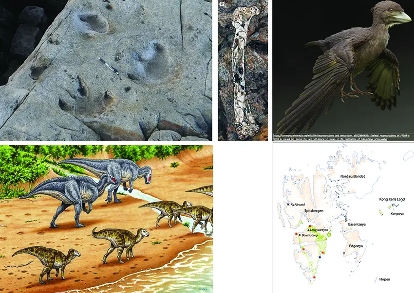 Wildlife in Svalbard 125 million years ago Collage of wildlife in Svalbard 125 million years ago