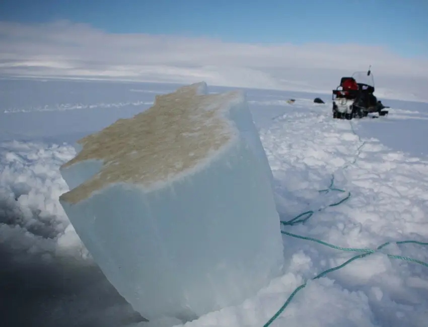 Sea ice