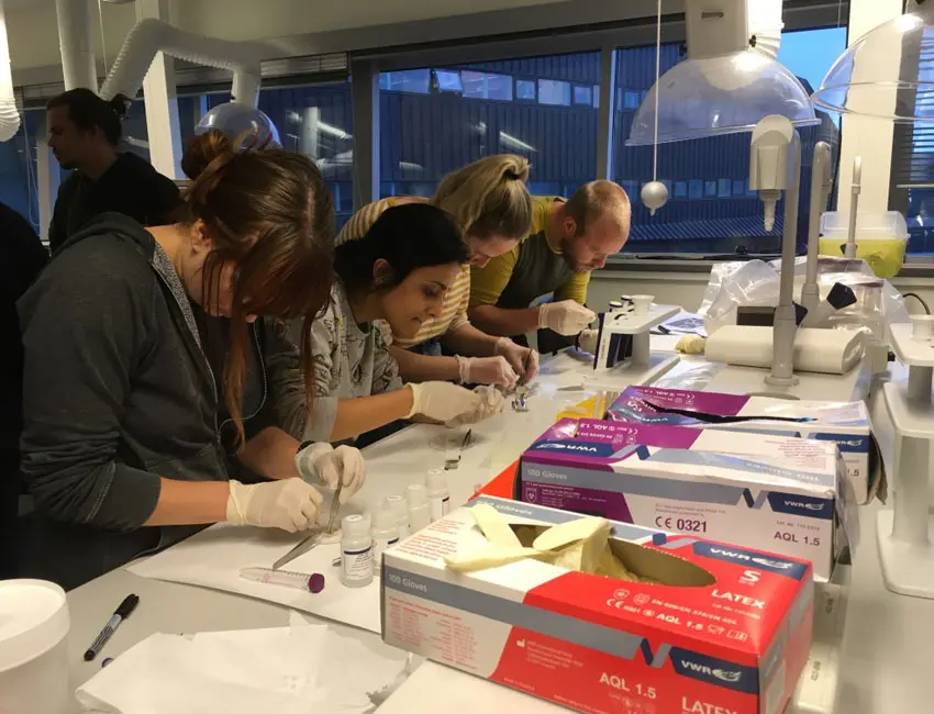 AB-332/832 students analysing samples in the UNIS teaching lab. Photo: Mads Schultz.