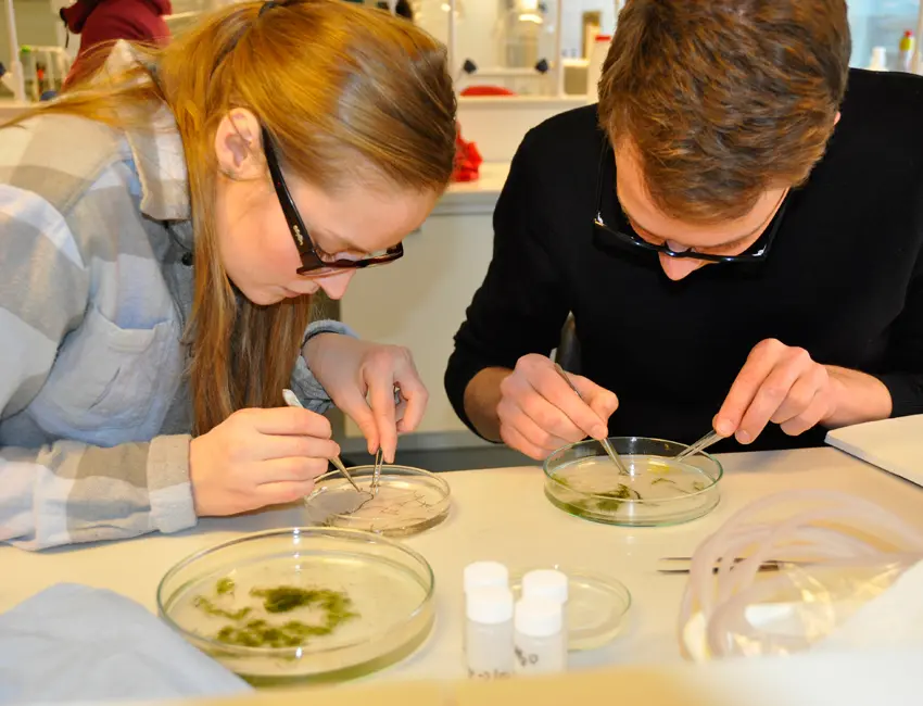 Labwork at UNIS