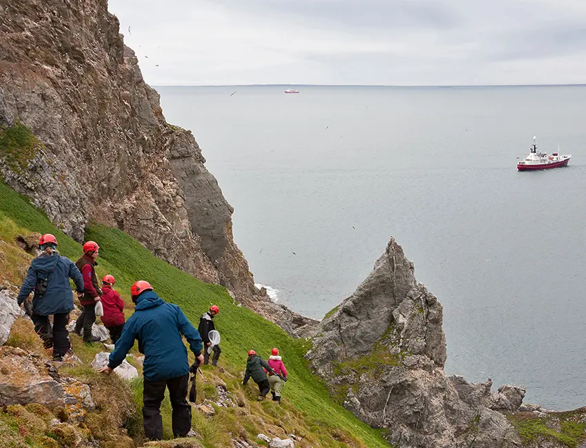 Studying ecological interactions in an Arctic bird colony. Steep climb and much to learn. Photo: Øystein Varpe/UNIS