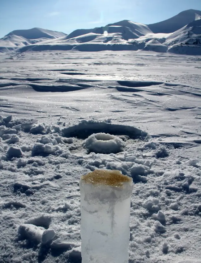 Ice core with layer of brown ice algae. Photo: Janne Søreide/UNIS