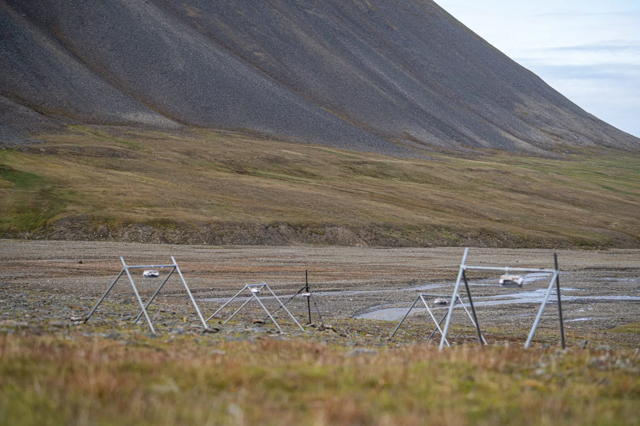 Time lapse cameras mounted above plants in Bjørndalen. Photo: Line Klaus.