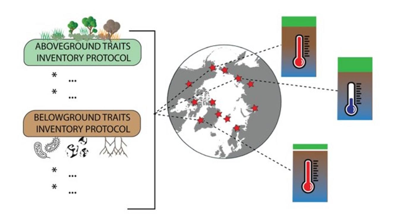 Figure 6. Distribution of measurement protocols using existing permafrost monitoring networks across the Arctic.