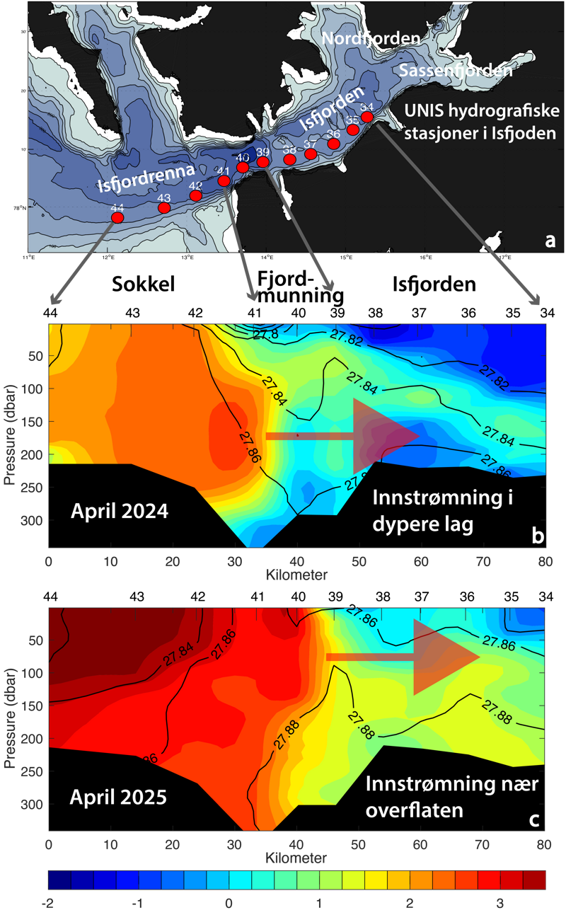 Figure 1: Map and overview of some of the regular hydrographic stations we revisit annually in Isfjorden and on the shelf outside (a). The temperature in Isfjorden from winter 2024 (b) and winter 2025 (c). Station 44 (left) is in Isfjordrenna (The Isfjorden trough), and station 41 lies at the mouth of Isfjorden near Isfjord Radio. Stations 38 through 34 (right) cover the outer part of Isfjorden. The colour scale shows temperature (°C), and black contour lines show water density. Red arrows indicate the depth at which warm water flows into Isfjorden